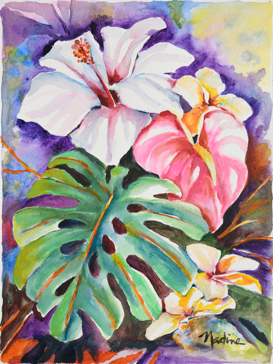 White Satin Hibiscus