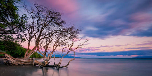 Pastels Over The Pacific