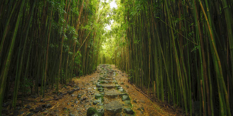 Pipiwai Trail