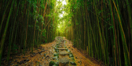 Pipiwai Trail