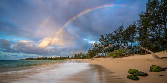 Paia Morning