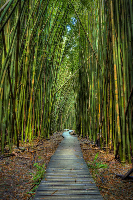 Journey
