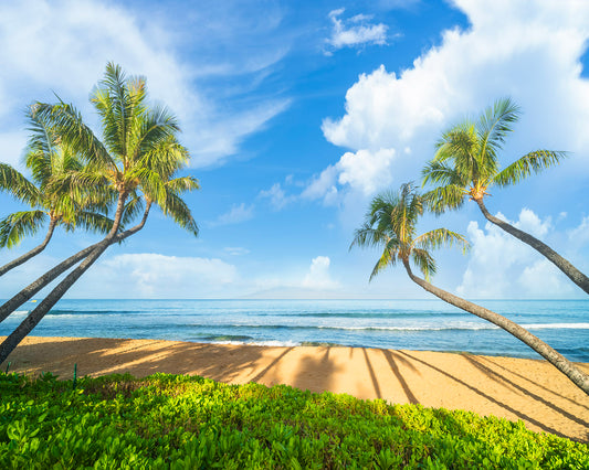 Maui Memories