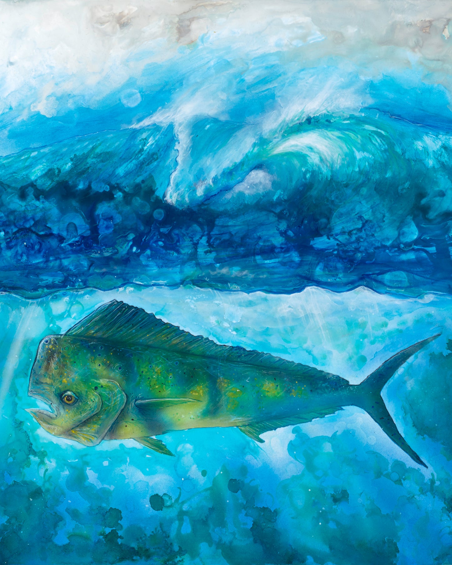 Mahi Surf