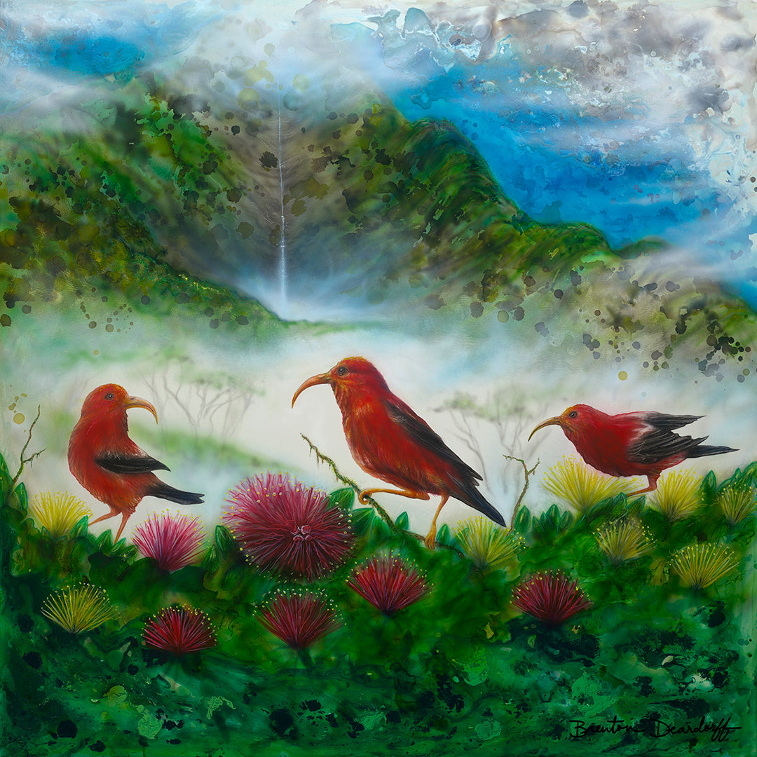 I'iwi Ohana