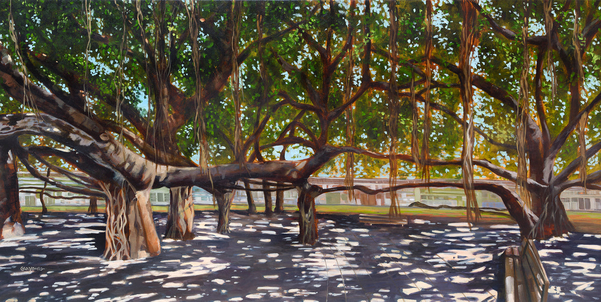 Banyan Canopy
