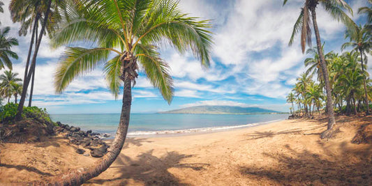 Kihei Daydream