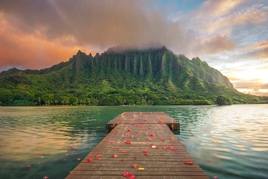 Ko'olau