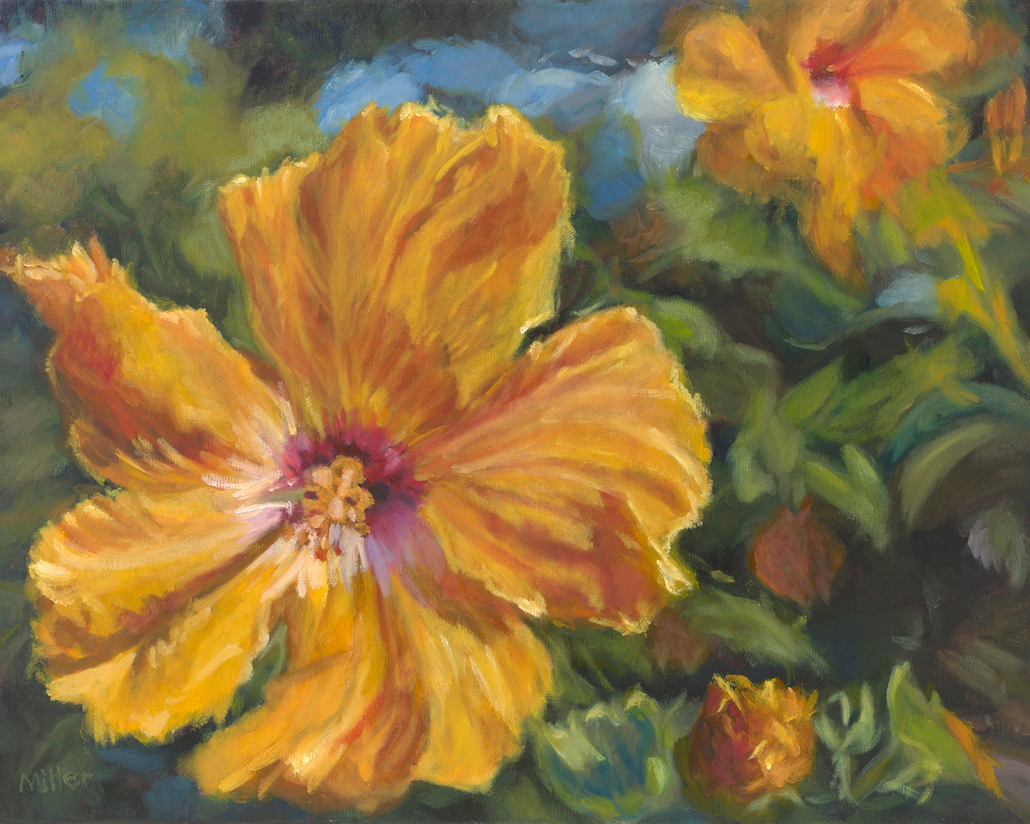 Orange Hibiscus