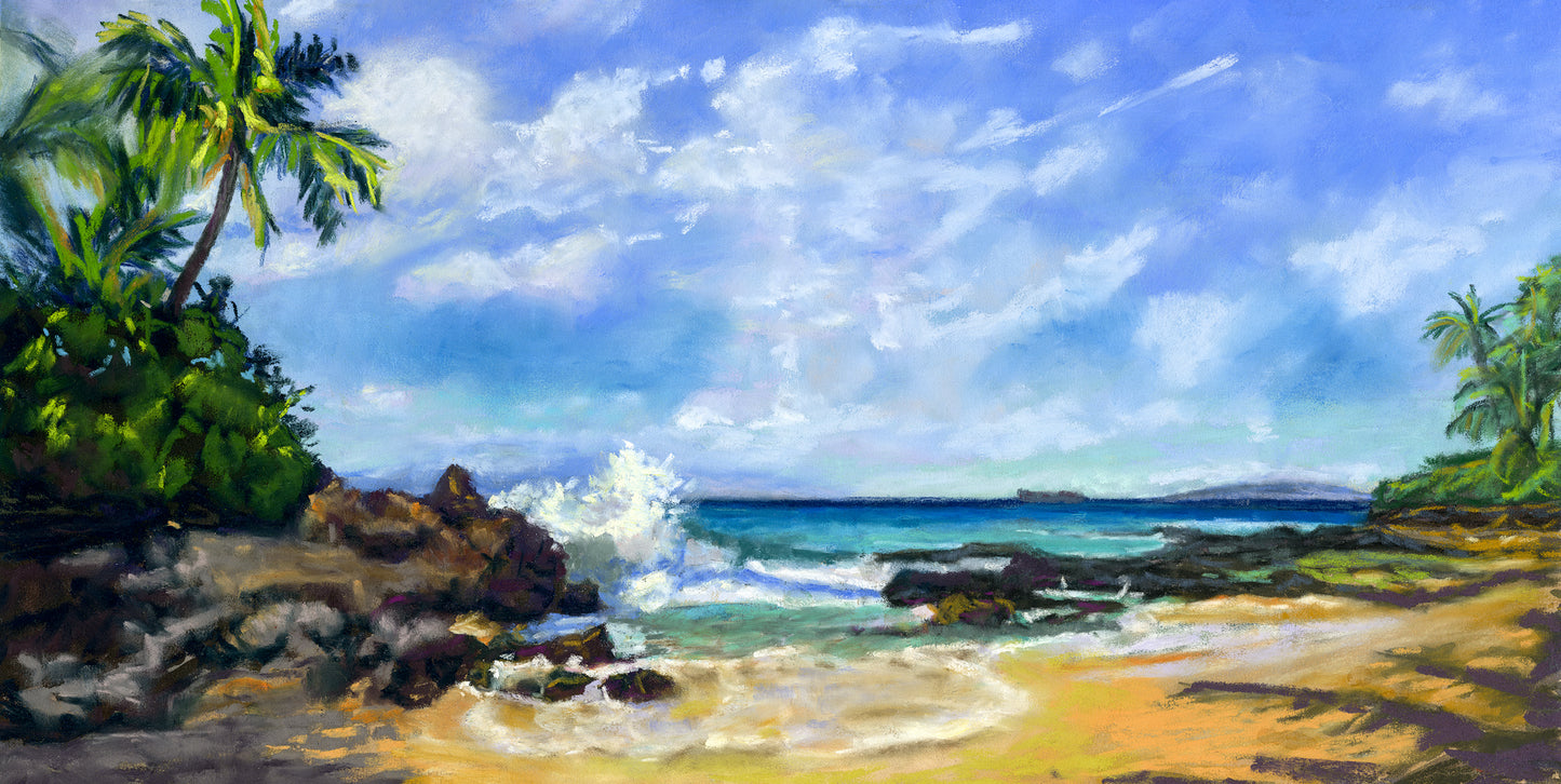 Secret Beach Day
