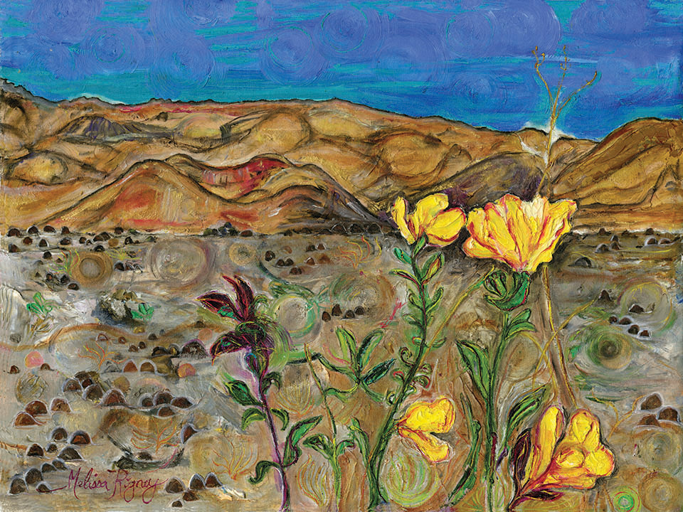 Haleakala Primrose