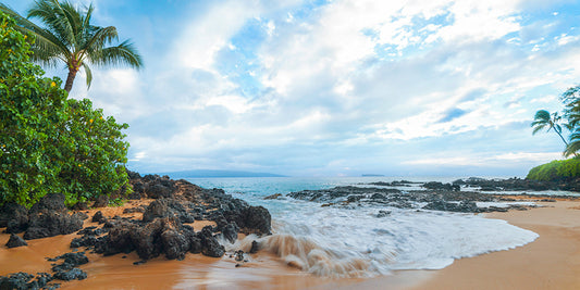 Makena Dreamscape