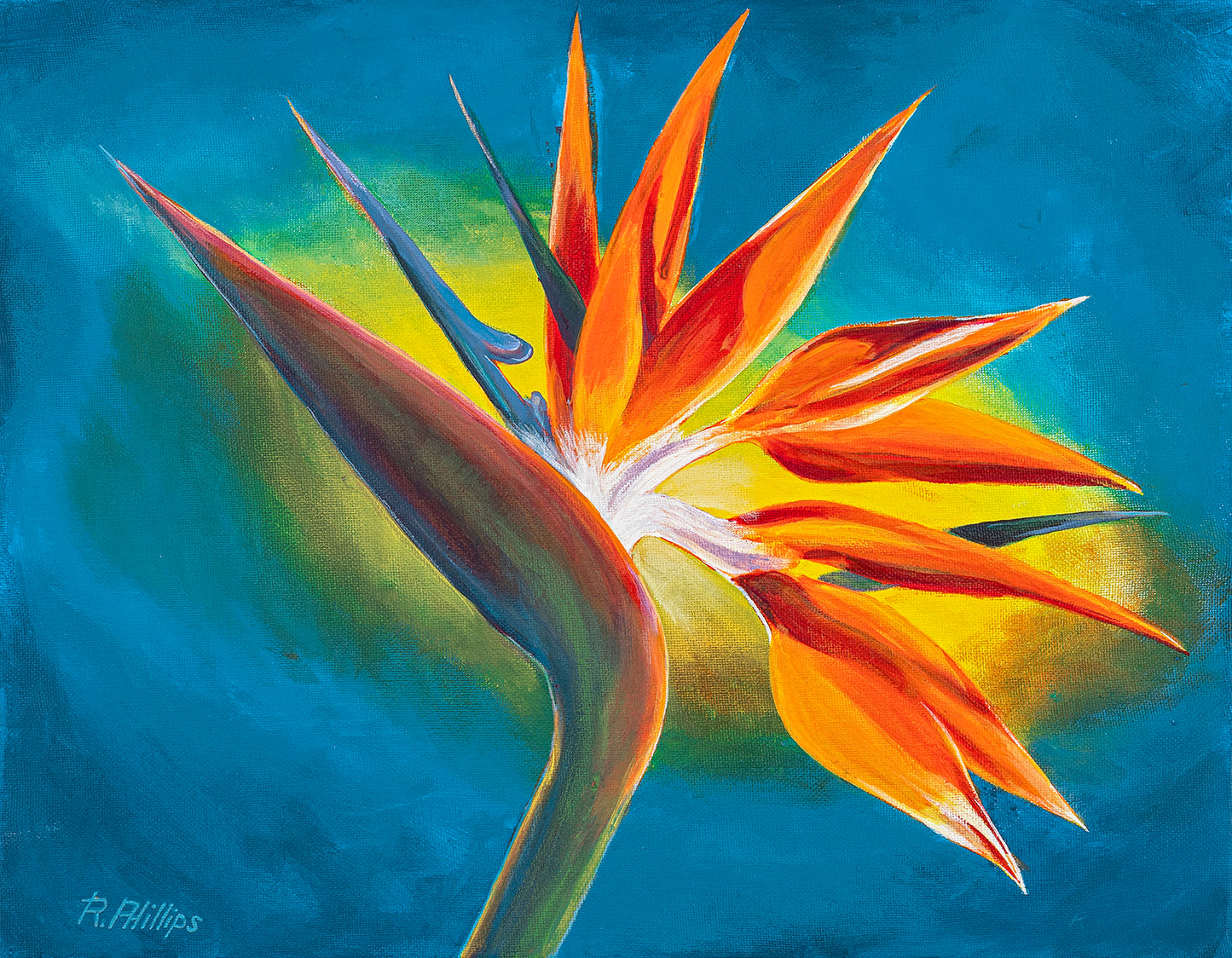 Bird of Paradise