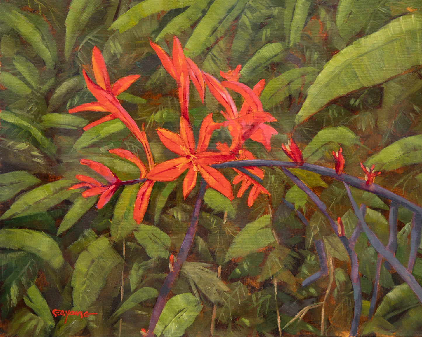 Red Jungle
