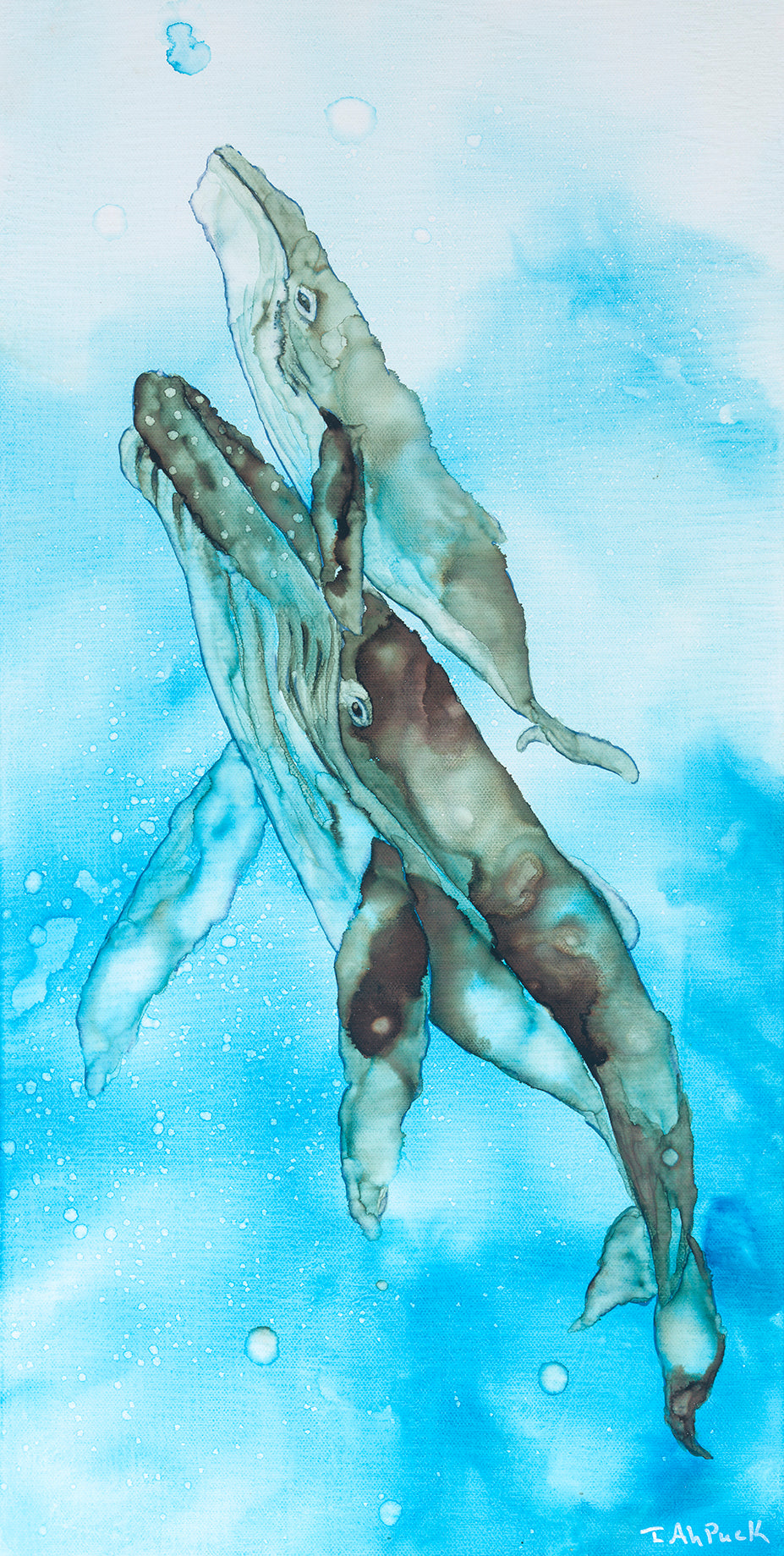Blue Whale Ohana