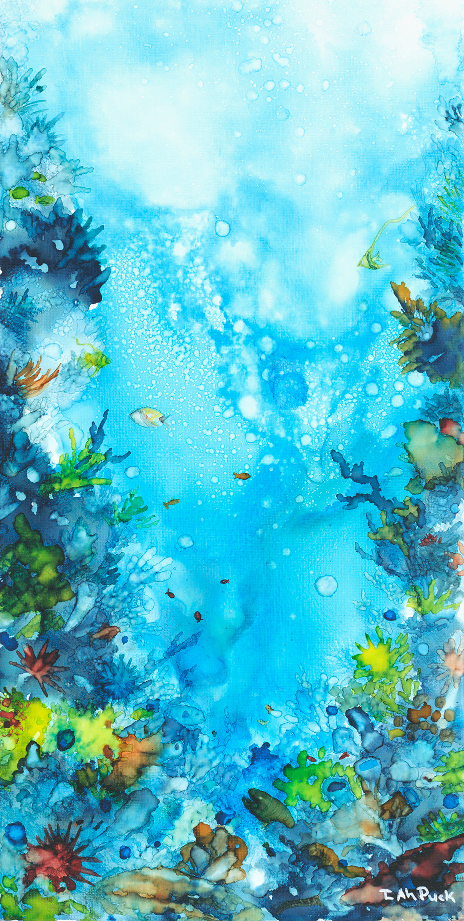 Coral Garden