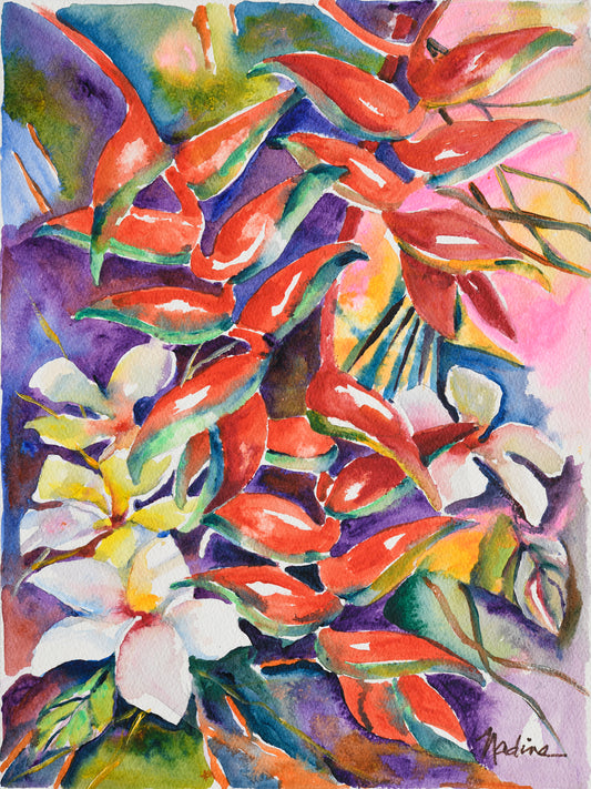 Lobster Claw Brilliance