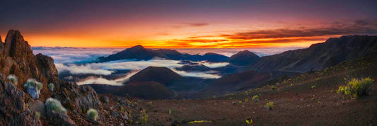 Sliding Sands Sunrise