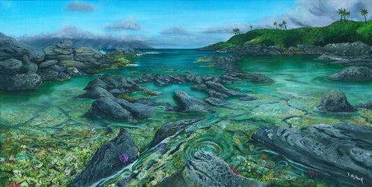 Tide Pools Today