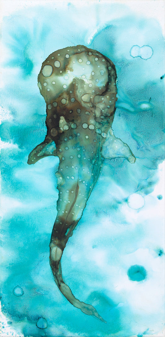 Amakua in the Blue