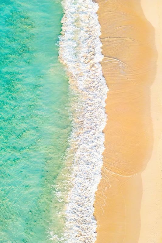 Beach Day