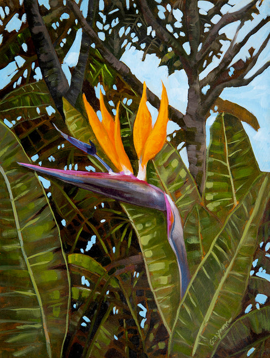 Jungle Birds