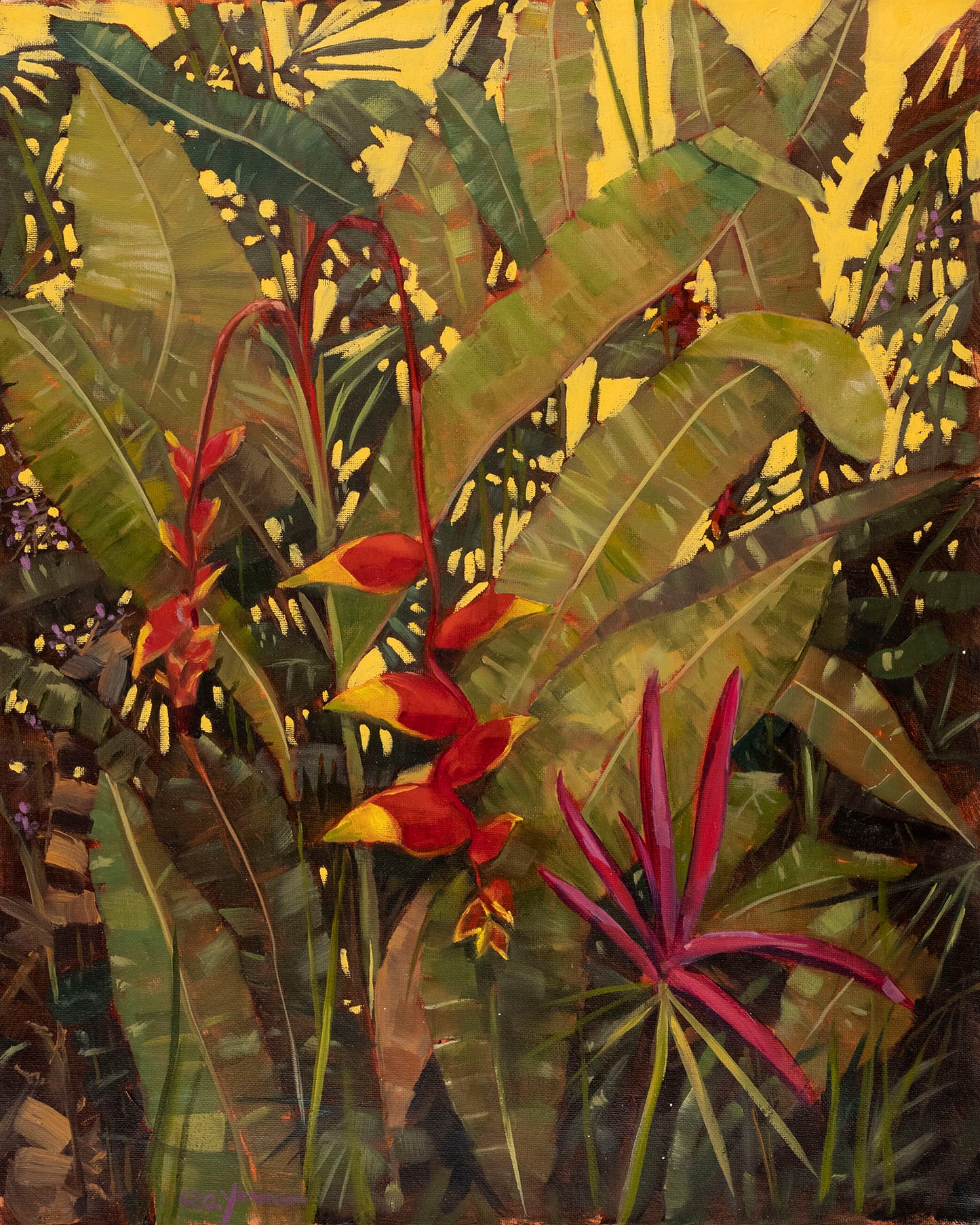 Heliconia