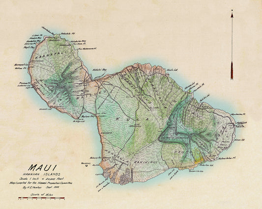 1908 HE Newton Maui