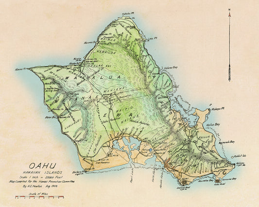 1908 HE Newton Oahu