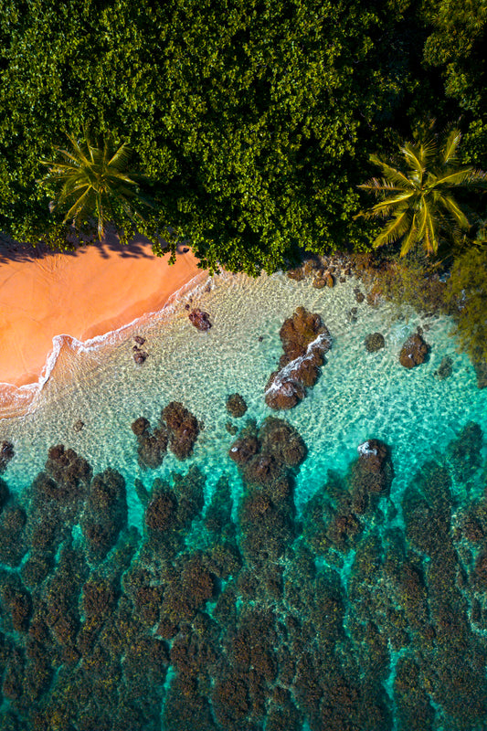 Island Views