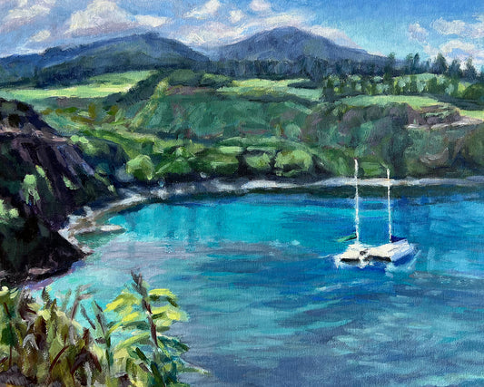 Honolua Bay