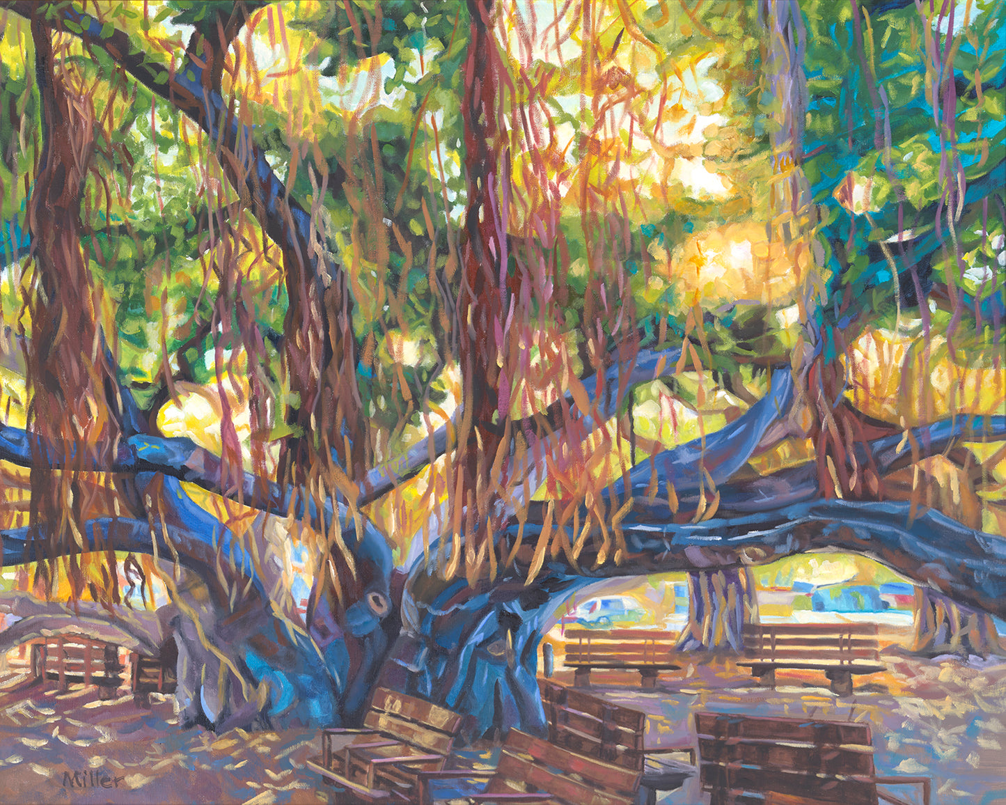 Beautiful Banyan
