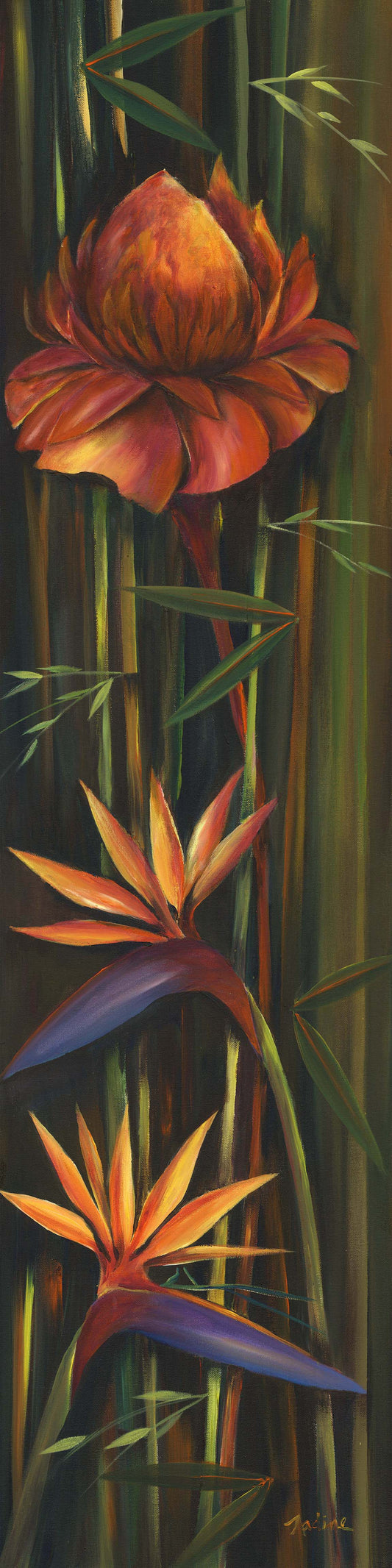 Torch Ginger Tropics