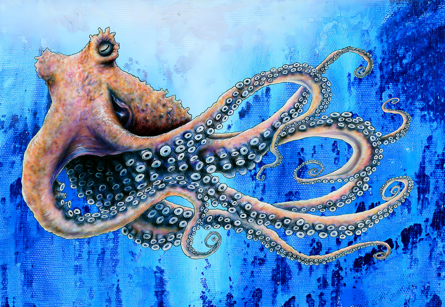 Octoblues
