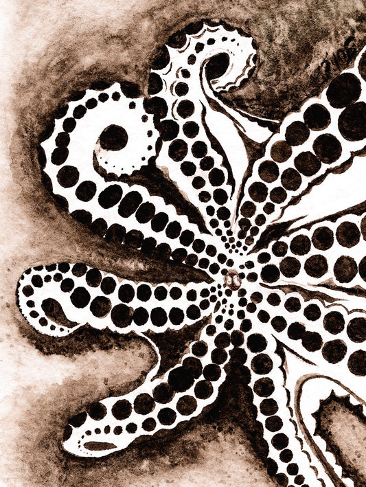 Tako
