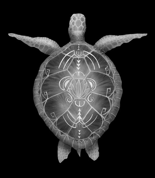 A Shell as Old as Time