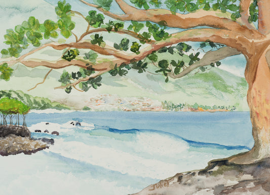 Waiuli Beach