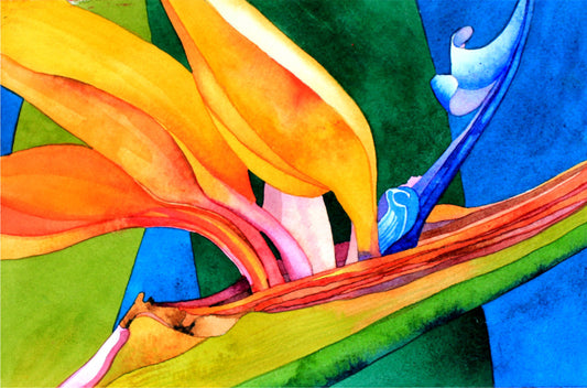 Bird of Paradise