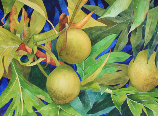 Breadfruit