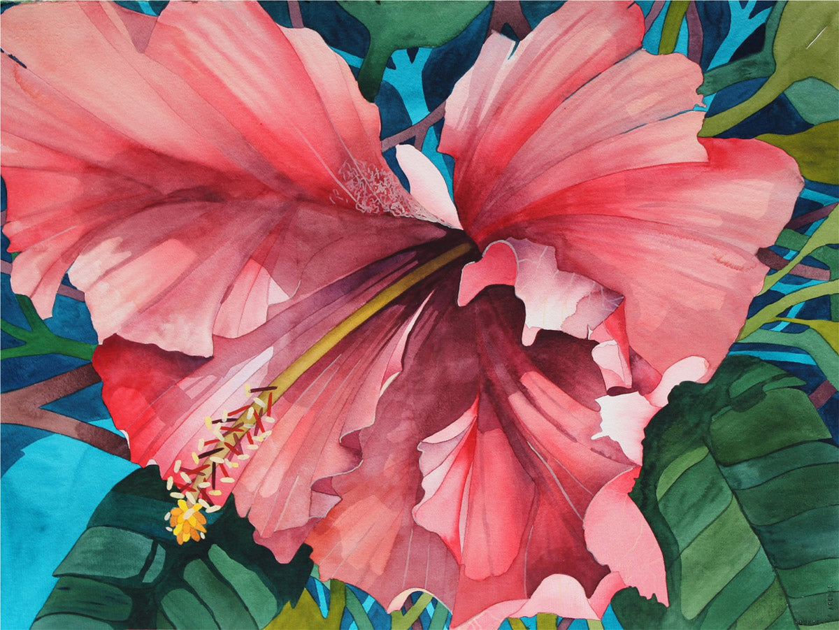 Red Hibiscus