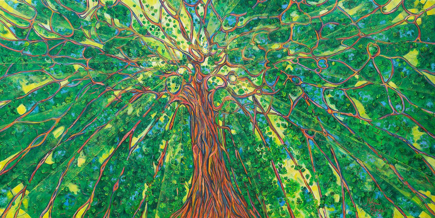 Under The Canopy