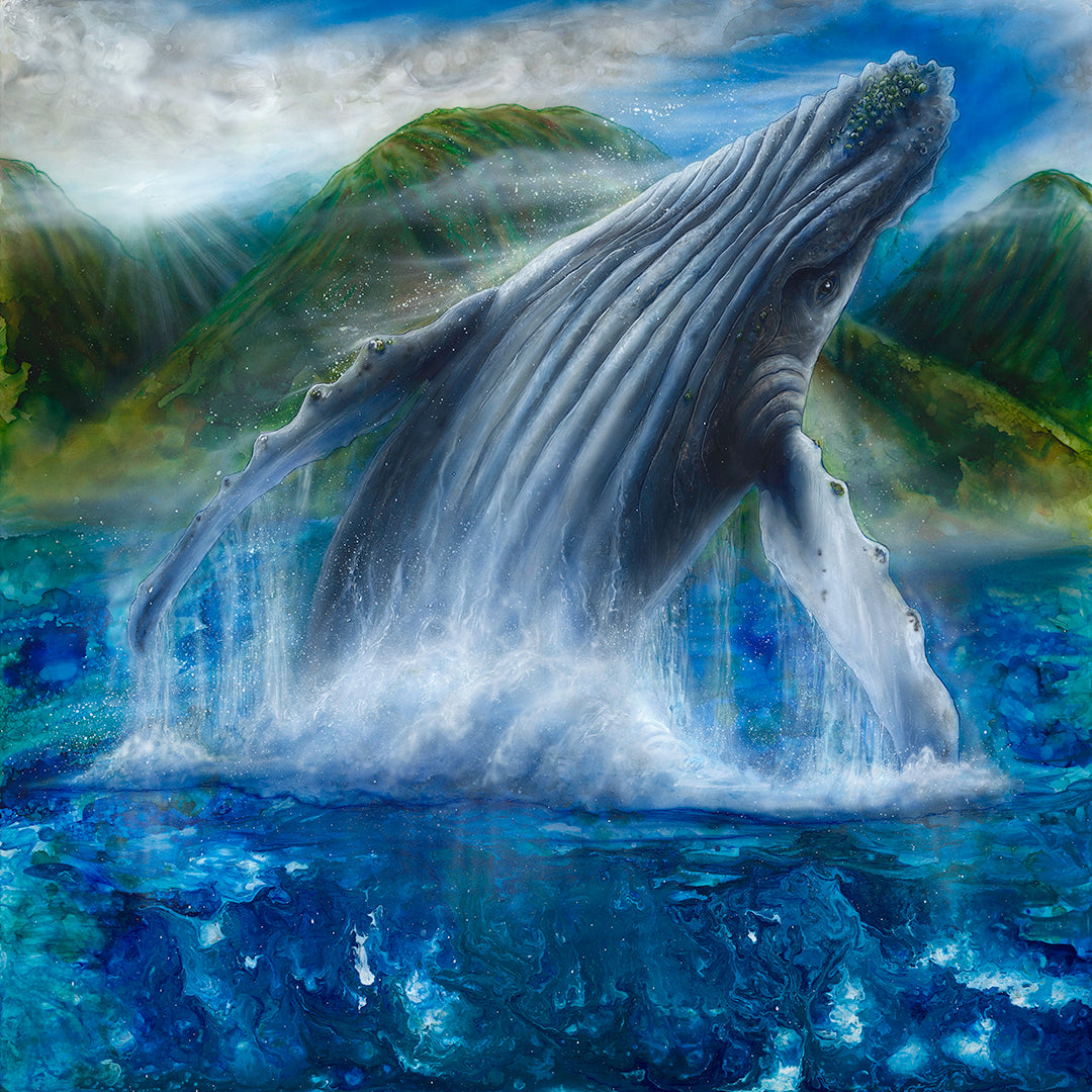 West Maui Breach